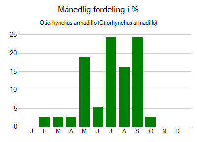 Otiorhynchus armadillo - månedlig fordeling