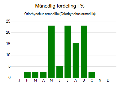 Otiorhynchus armadillo - månedlig fordeling