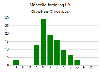 Chrysolina sp. - månedlig fordeling