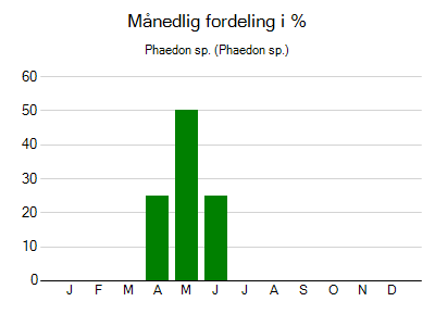Phaedon sp. - månedlig fordeling