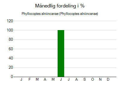 Phyllocoptes alniincanae - månedlig fordeling