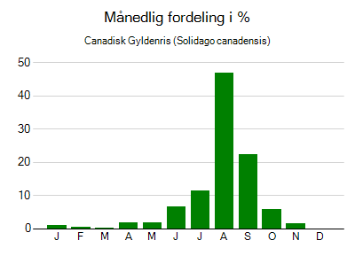Canadisk Gyldenris - månedlig fordeling