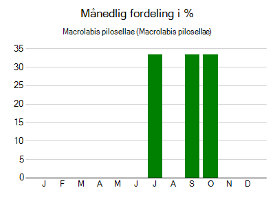Macrolabis pilosellae - månedlig fordeling