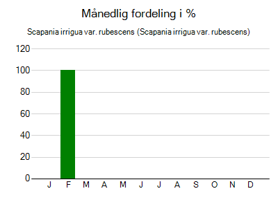 Scapania irrigua var. rubescens - månedlig fordeling