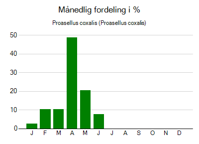 Proasellus coxalis - månedlig fordeling