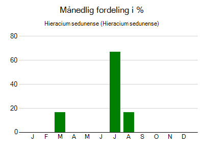 Hieracium sedunense - månedlig fordeling