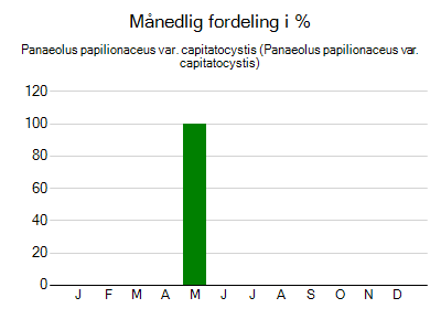 Panaeolus papilionaceus var. capitatocystis - månedlig fordeling