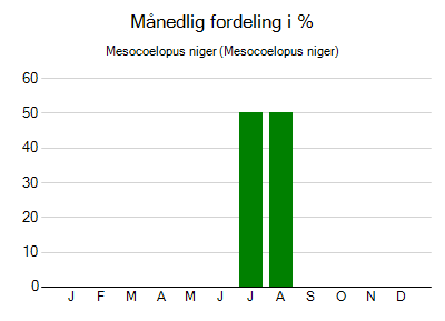 Mesocoelopus niger - månedlig fordeling
