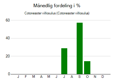 Cotoneaster villosulus - månedlig fordeling