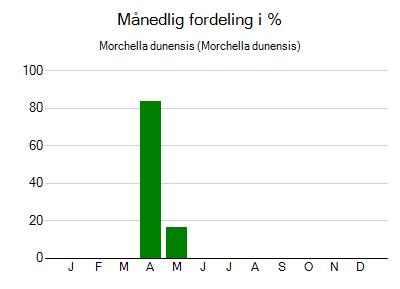 Morchella dunensis - månedlig fordeling