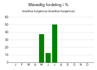 Acanthus hungaricus - månedlig fordeling