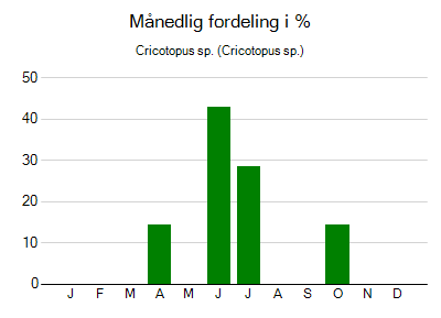 Cricotopus sp. - månedlig fordeling