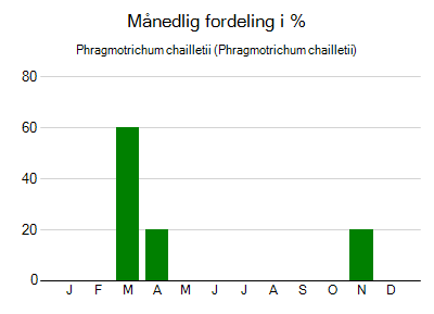 Phragmotrichum chailletii - månedlig fordeling