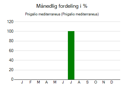Pnigalio mediterraneus - månedlig fordeling