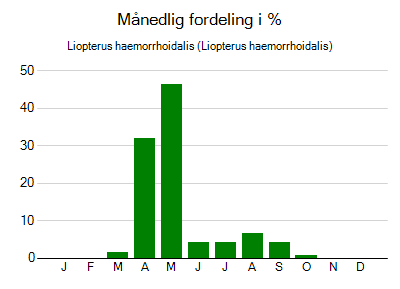 Liopterus haemorrhoidalis - månedlig fordeling