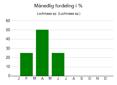 Lochmaea sp. - månedlig fordeling