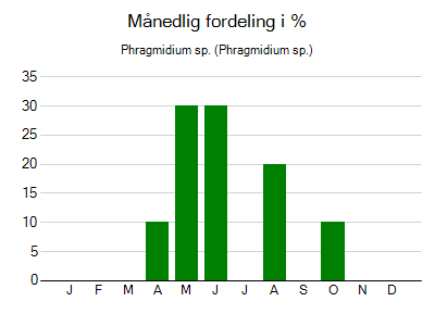 Phragmidium sp. - månedlig fordeling