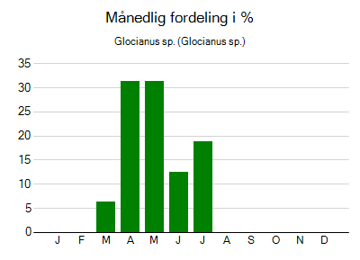 Glocianus sp. - månedlig fordeling
