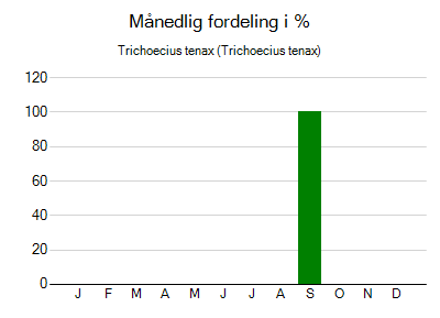 Trichoecius tenax - månedlig fordeling