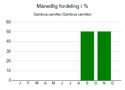 Gambrus carnifex - månedlig fordeling