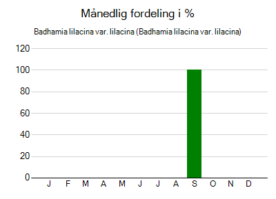 Badhamia lilacina var. lilacina - månedlig fordeling