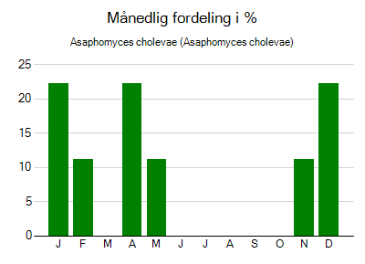 Asaphomyces cholevae - månedlig fordeling