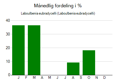Laboulbenia eubradycelli - månedlig fordeling