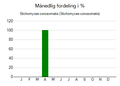 Stichomyces conosomatis - månedlig fordeling