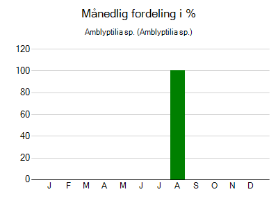 Amblyptilia sp. - månedlig fordeling