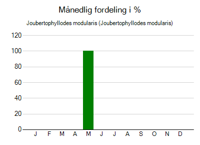 Joubertophyllodes modularis - månedlig fordeling