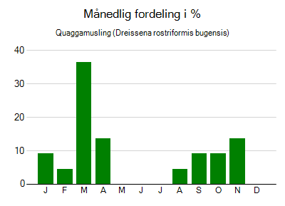 Quaggamusling - månedlig fordeling