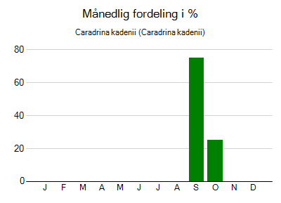 Caradrina kadenii - månedlig fordeling