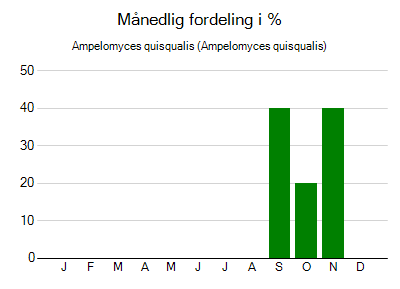 Ampelomyces quisqualis - månedlig fordeling
