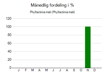 Phyllactinia mali - månedlig fordeling
