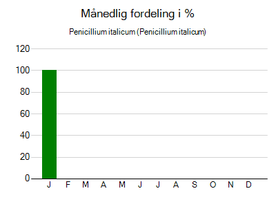 Penicillium italicum - månedlig fordeling