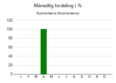 Kuzinia laevis - månedlig fordeling