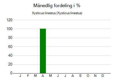 Xysticus lineatus - månedlig fordeling