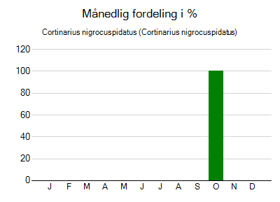 Cortinarius nigrocuspidatus - månedlig fordeling