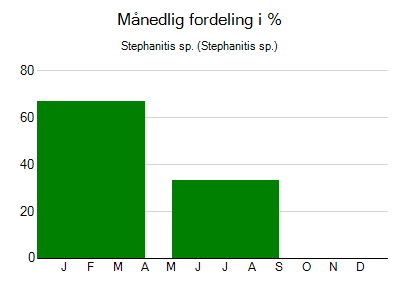 Stephanitis sp. - månedlig fordeling