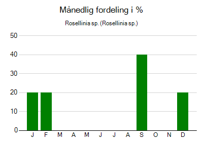 Rosellinia sp. - månedlig fordeling