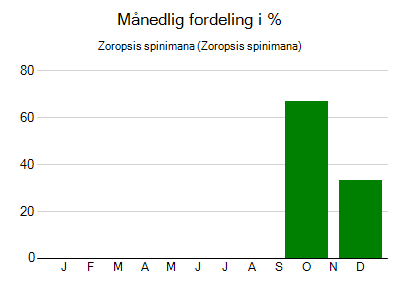 Zoropsis spinimana - månedlig fordeling