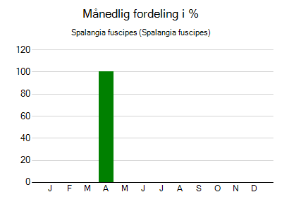 Spalangia fuscipes - månedlig fordeling