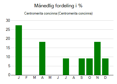 Centromerita concinna - månedlig fordeling