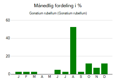 Gonatium rubellum - månedlig fordeling