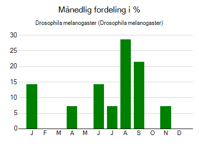 Drosophila melanogaster - månedlig fordeling