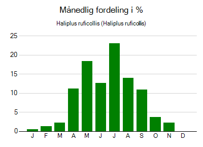 Haliplus ruficollis - månedlig fordeling