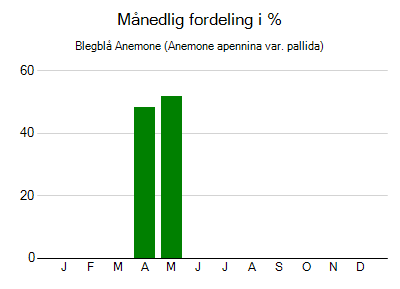 Blegblå Anemone - månedlig fordeling