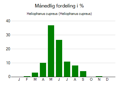 Heliophanus cupreus - månedlig fordeling