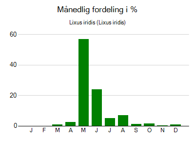 Lixus iridis - månedlig fordeling