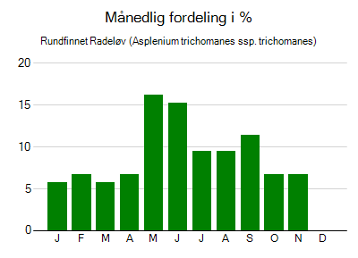 Rundfinnet Radeløv - månedlig fordeling